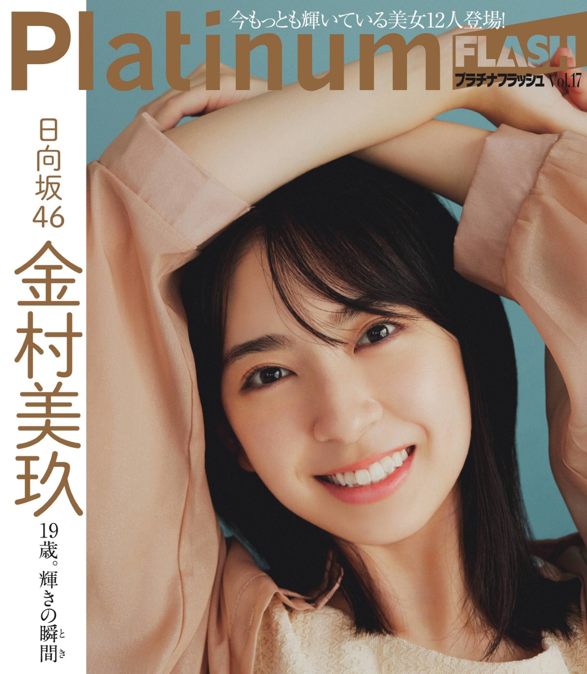 Platinum Flash Vol.17 107.jpg