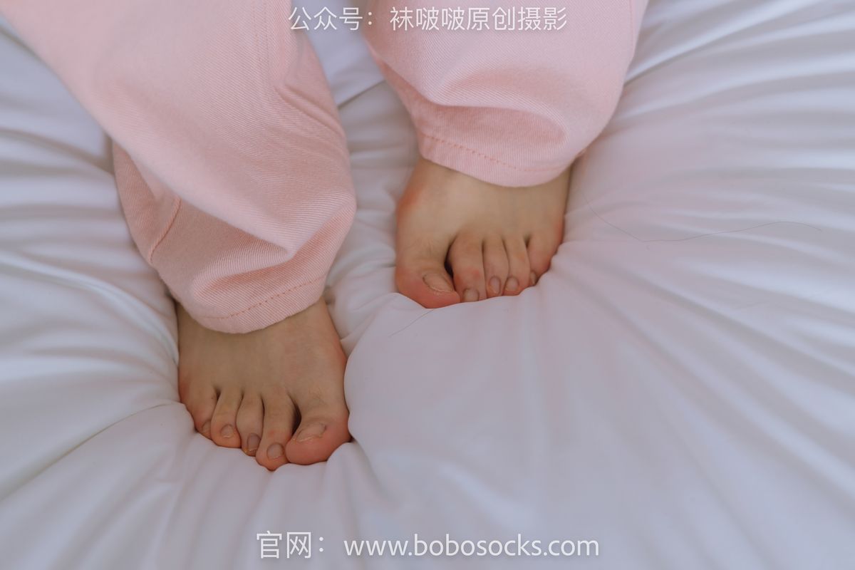 BoBoSocks袜啵啵 NO 141 Zhou Zhou B 0070 6916958868.jpg