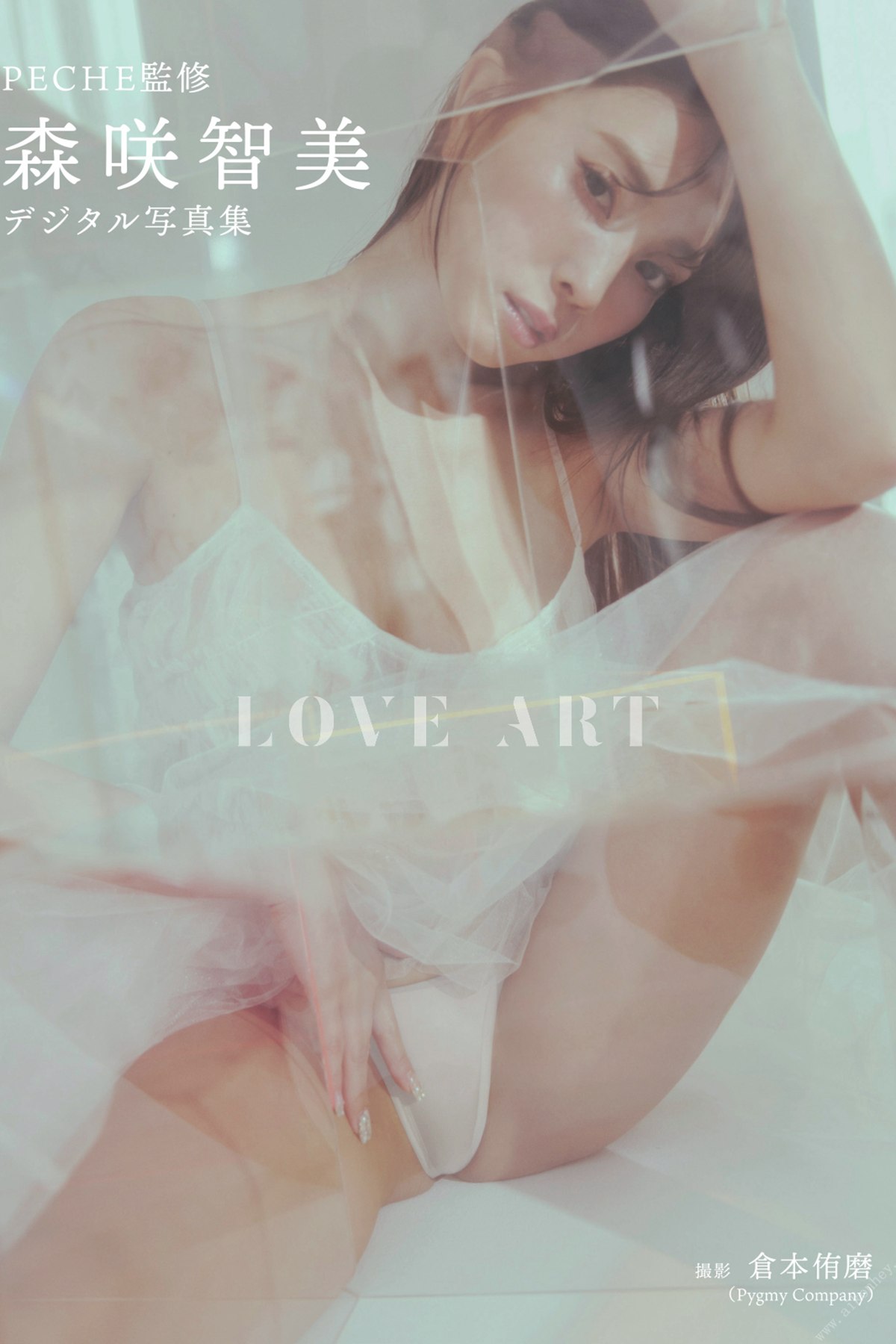 Digital Only PECHE Supervised 2022.12.24 Tomomi Morisaki 森咲智美 – LOVE ART 2022 A