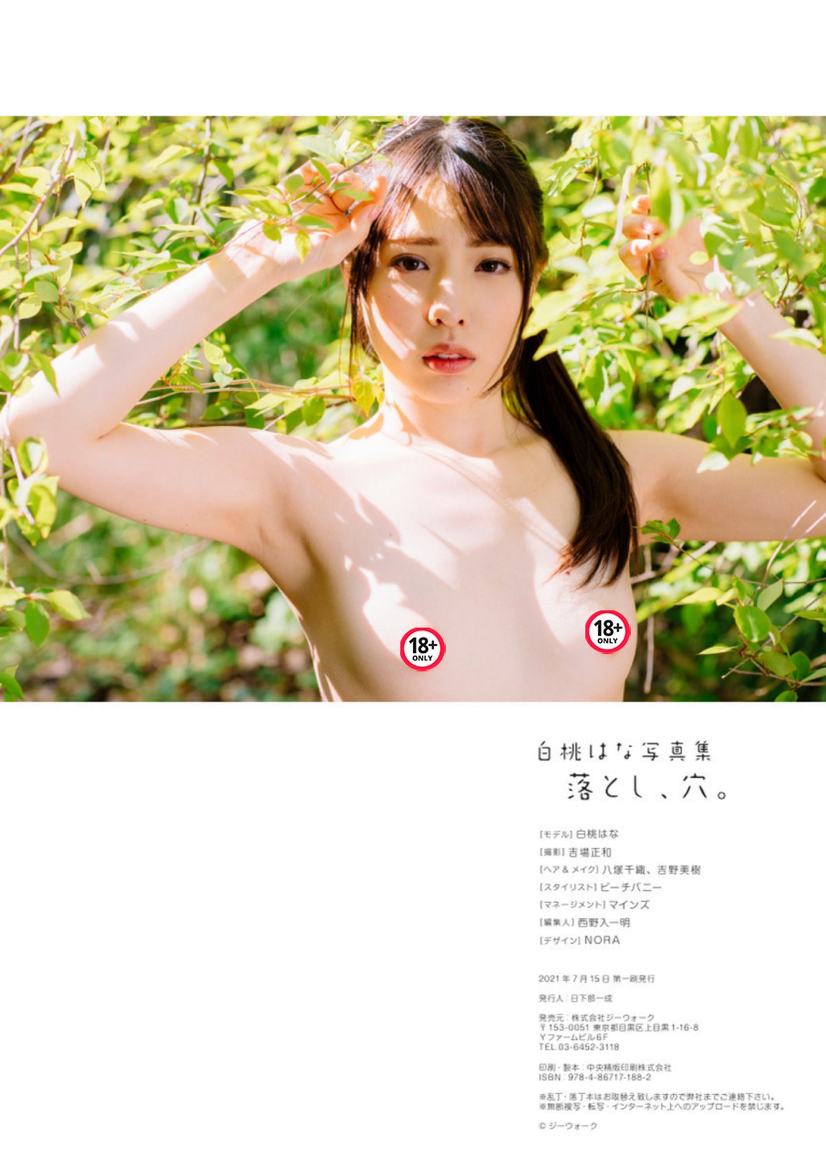 Photobook Hana Shirato 白桃はな Otoshi Ana 0077 9372537148.jpg