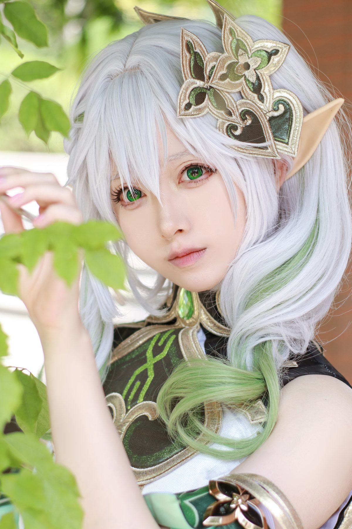 Coser@Asagiriai 愛ちゃん 納西妲 0001 1845881671.jpg