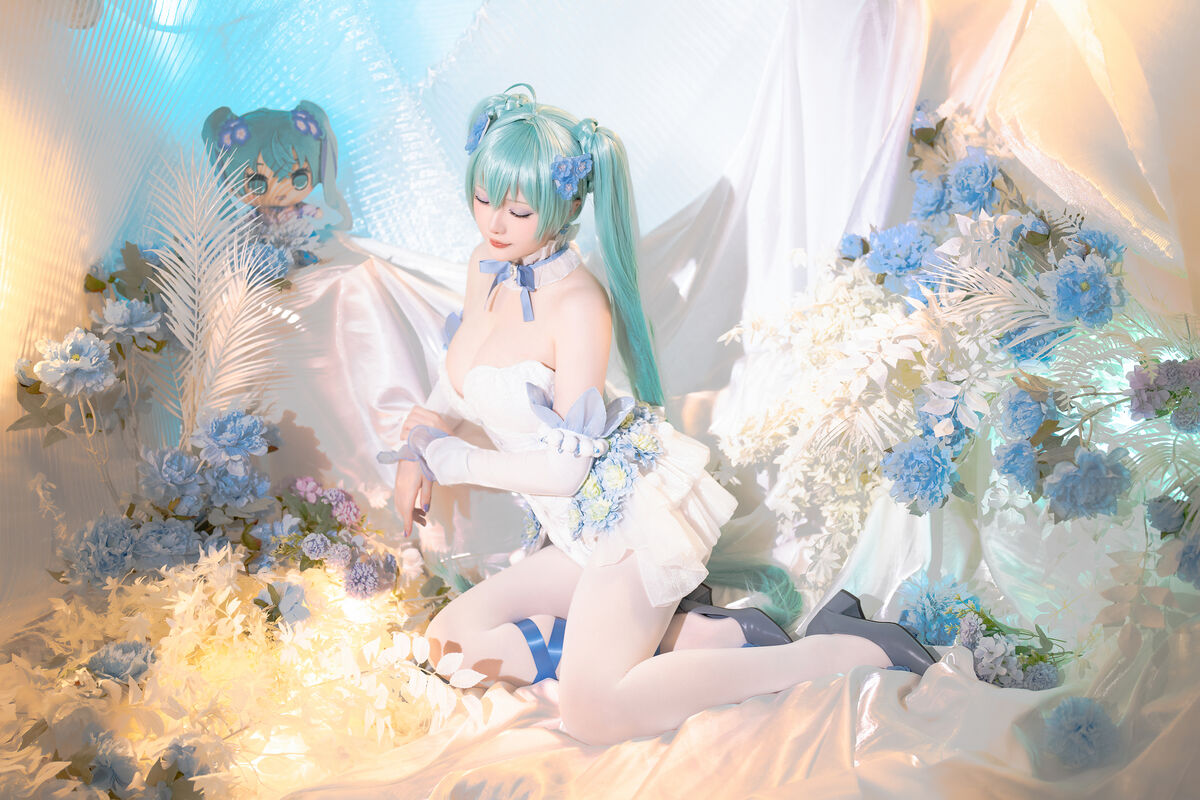 Coser@星之迟迟Hoshilily 2024年02月计划A 初音未来 粉蝶花精灵 0011 9936497923.jpg