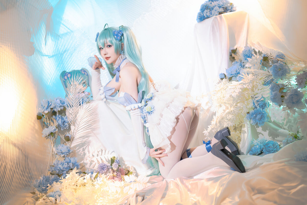 Coser@星之迟迟Hoshilily 2024年02月计划A 初音未来 粉蝶花精灵 0030 8394521968.jpg