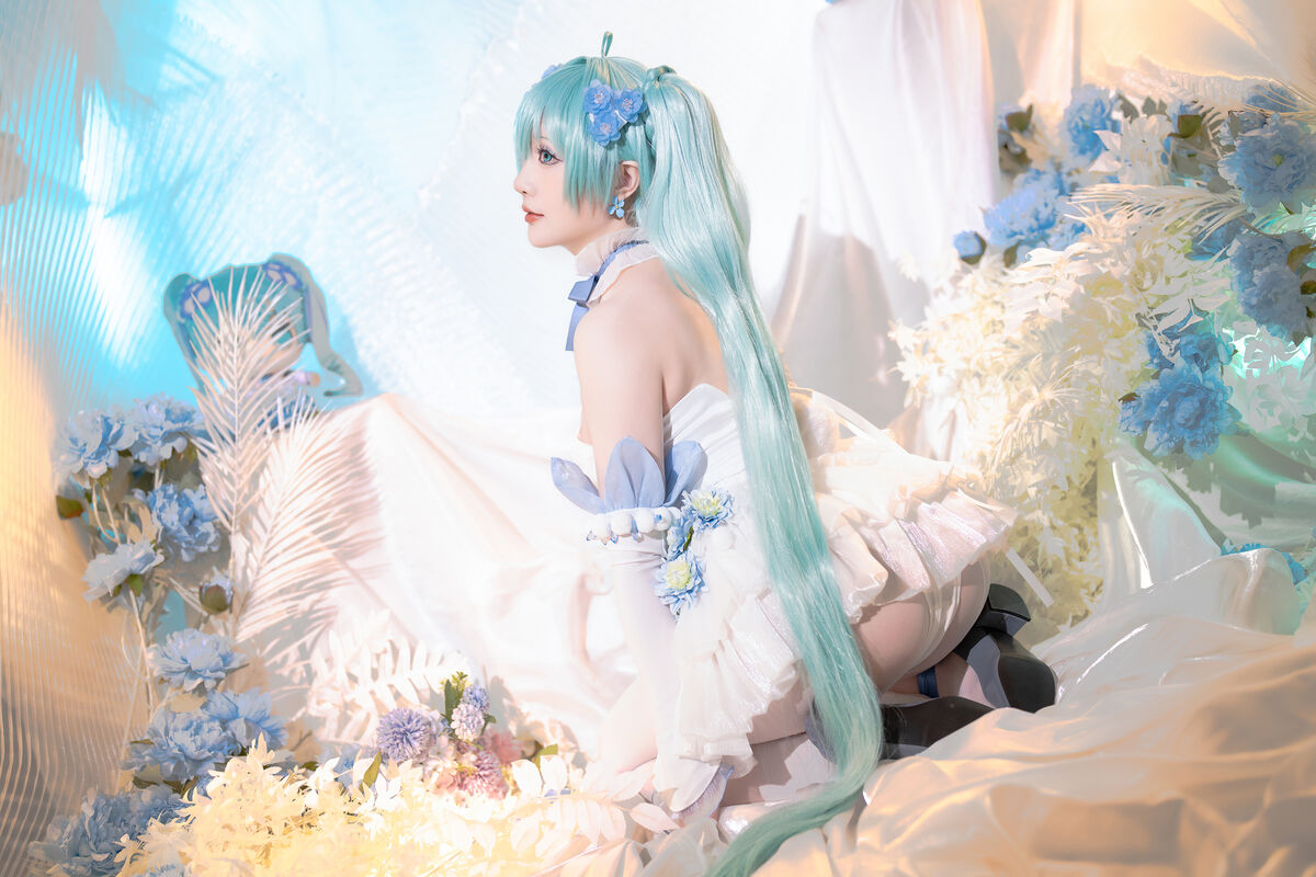 Coser@星之迟迟Hoshilily 2024年02月计划A 初音未来 粉蝶花精灵 0032 1470723972.jpg