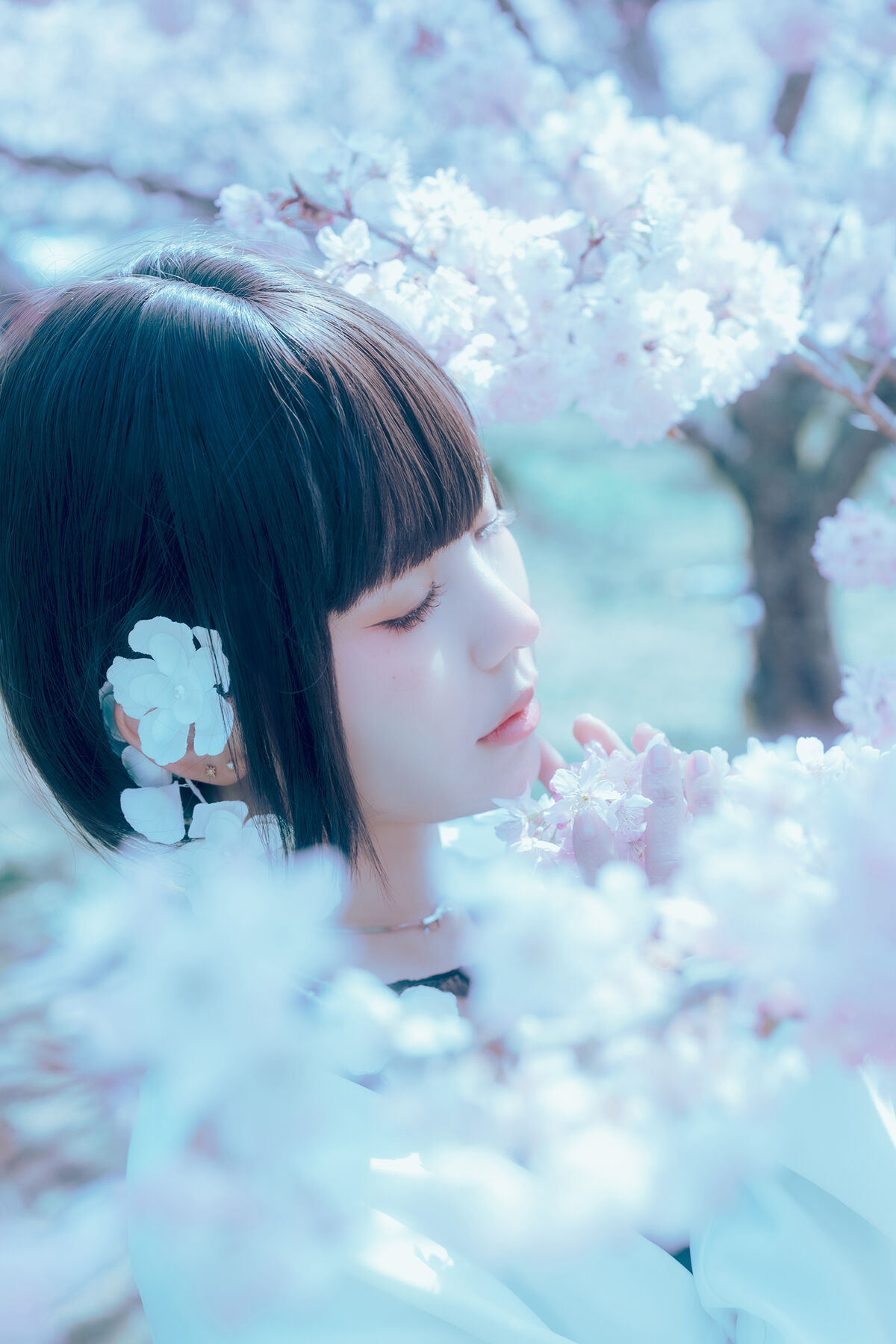 Coser@Elyee 2024年4月 Pink Sakura17 0014 4172879888.jpg