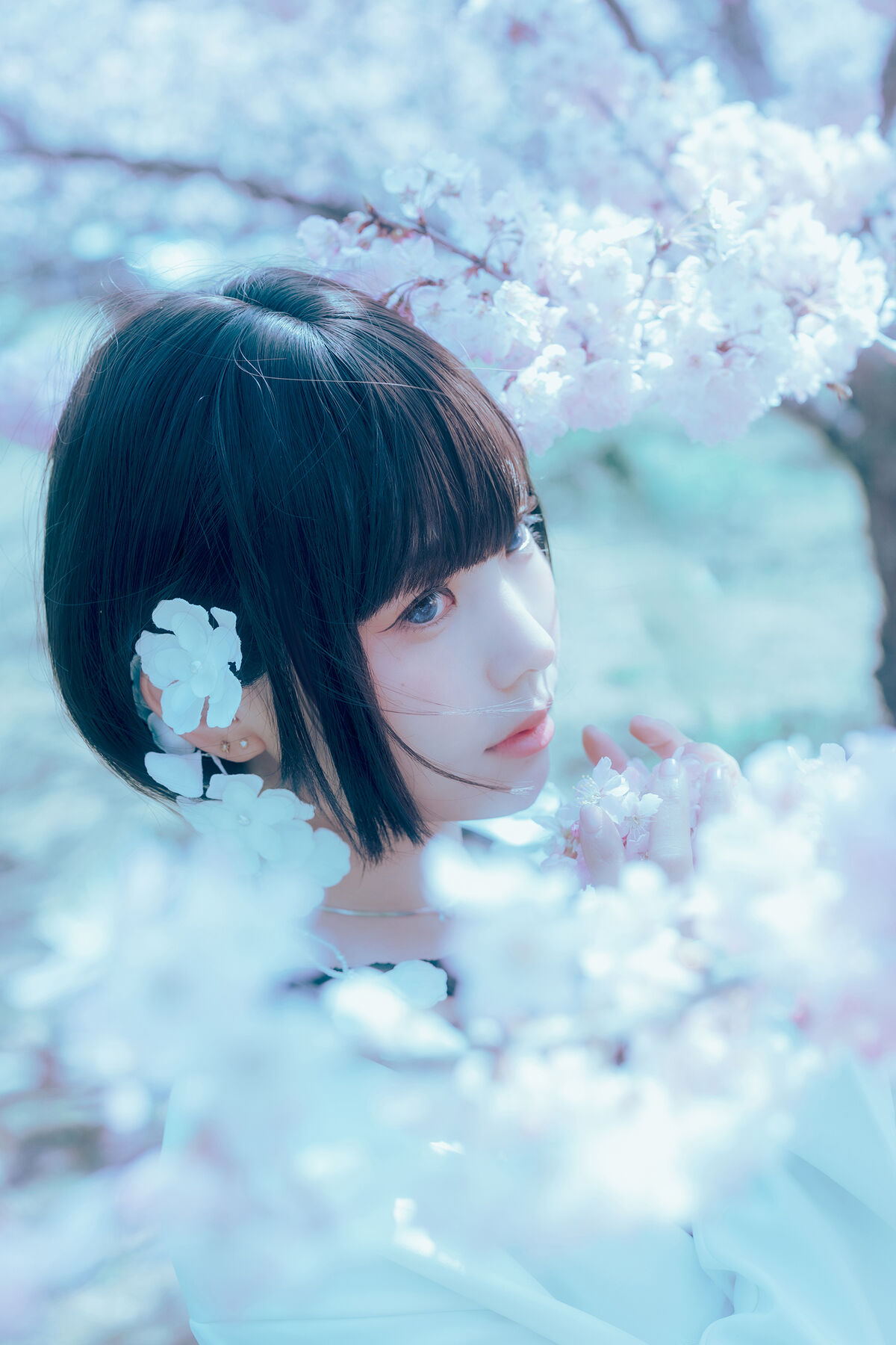 Coser@Elyee 2024年4月 Pink Sakura17 0015 8258111660.jpg