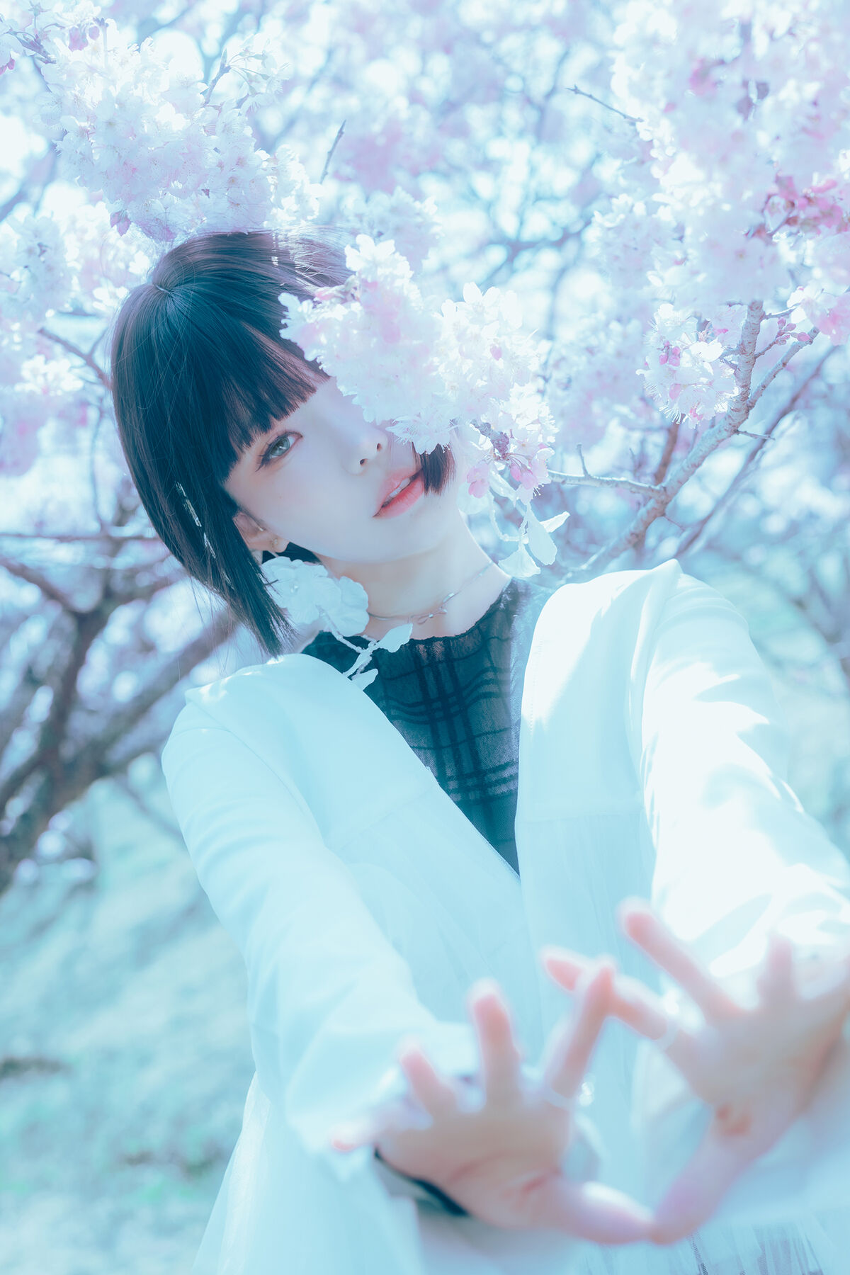 Coser@Elyee 2024年4月 Pink Sakura17 0016 4422441482.jpg