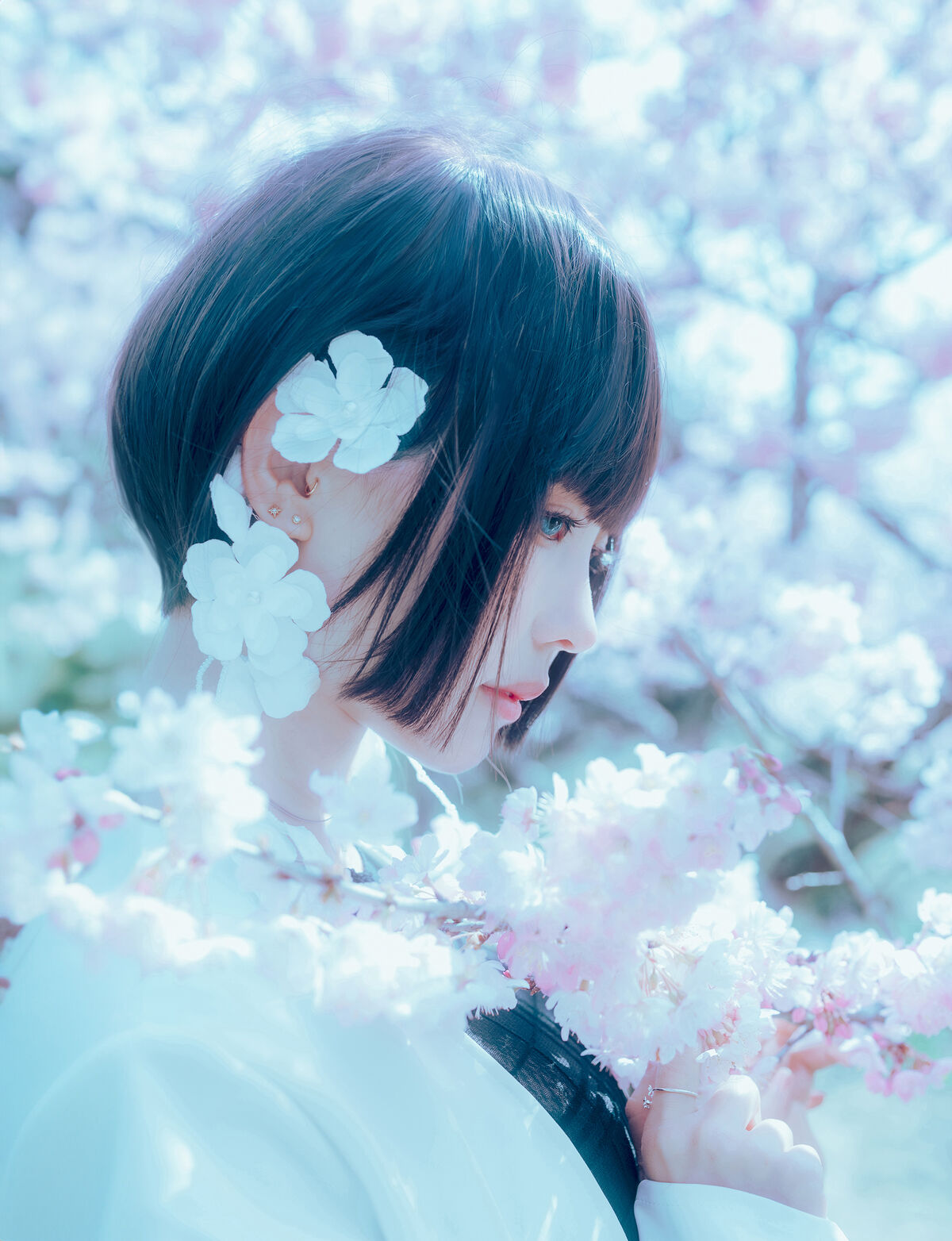 Coser@Elyee 2024年4月 Pink Sakura17 0020 0683756445.jpg