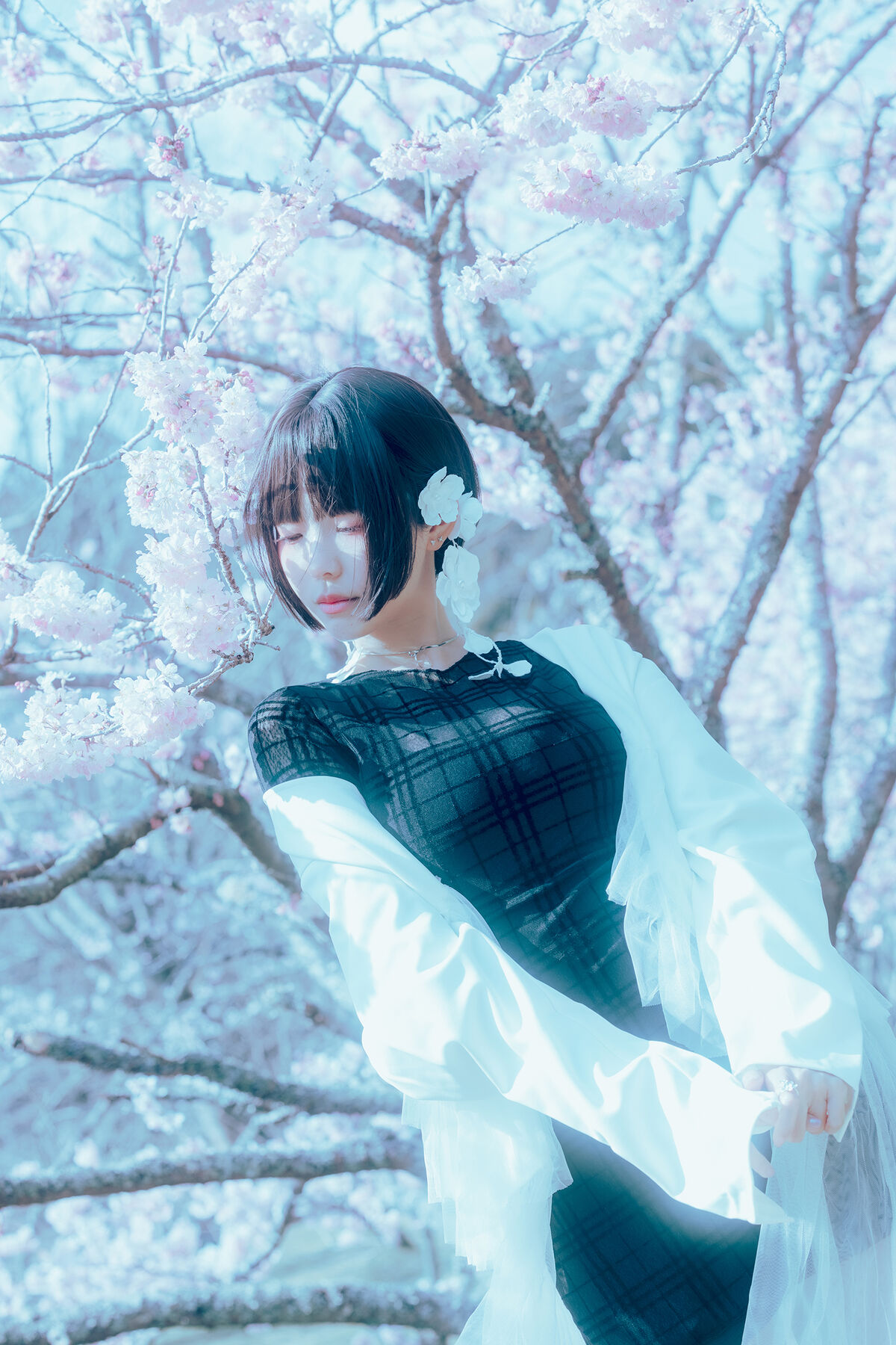 Coser@Elyee 2024年4月 Pink Sakura17 0043 1089857715.jpg