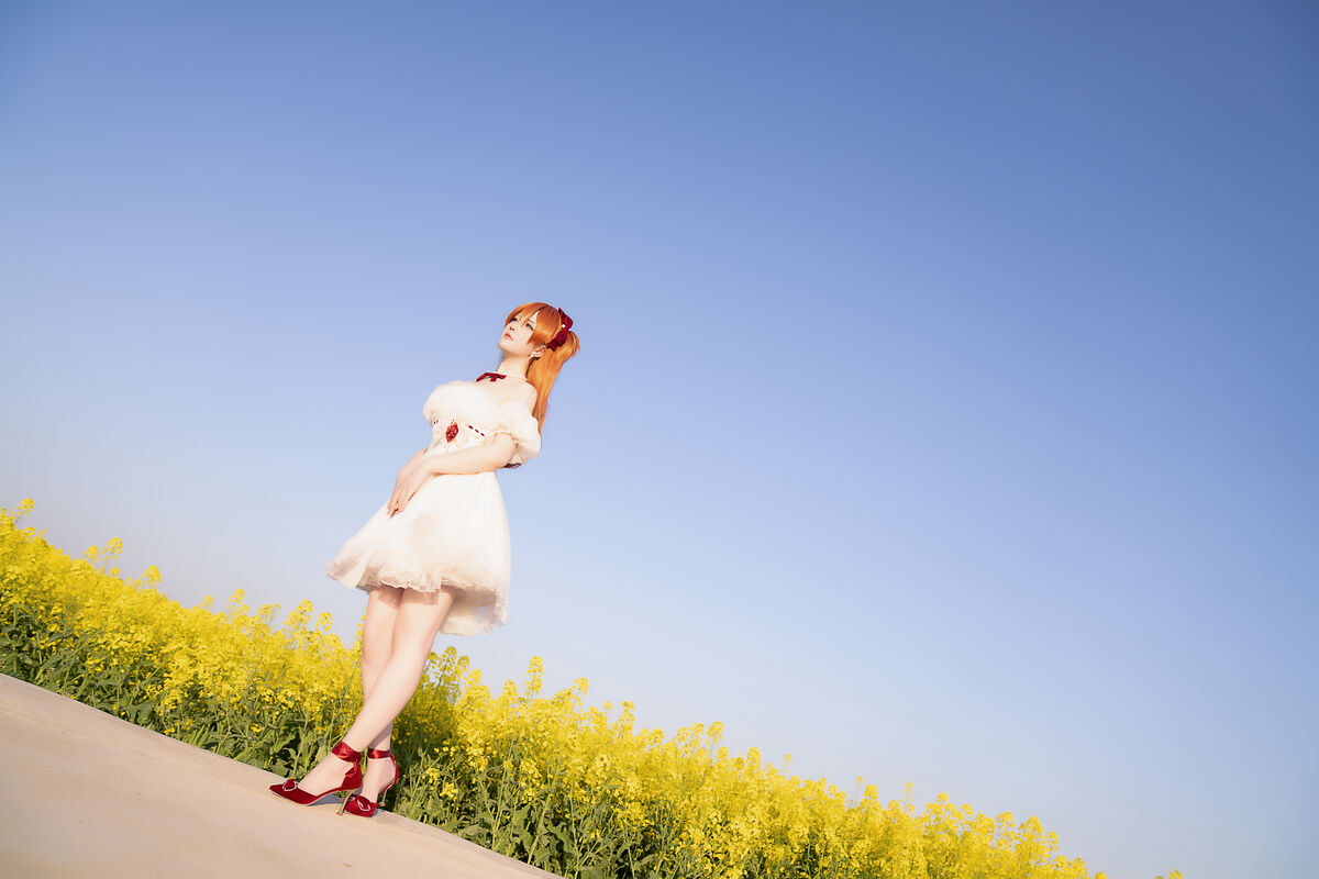 Coser@星之迟迟Hoshilily EVA 明日香花之语 0025 3671486455.jpg