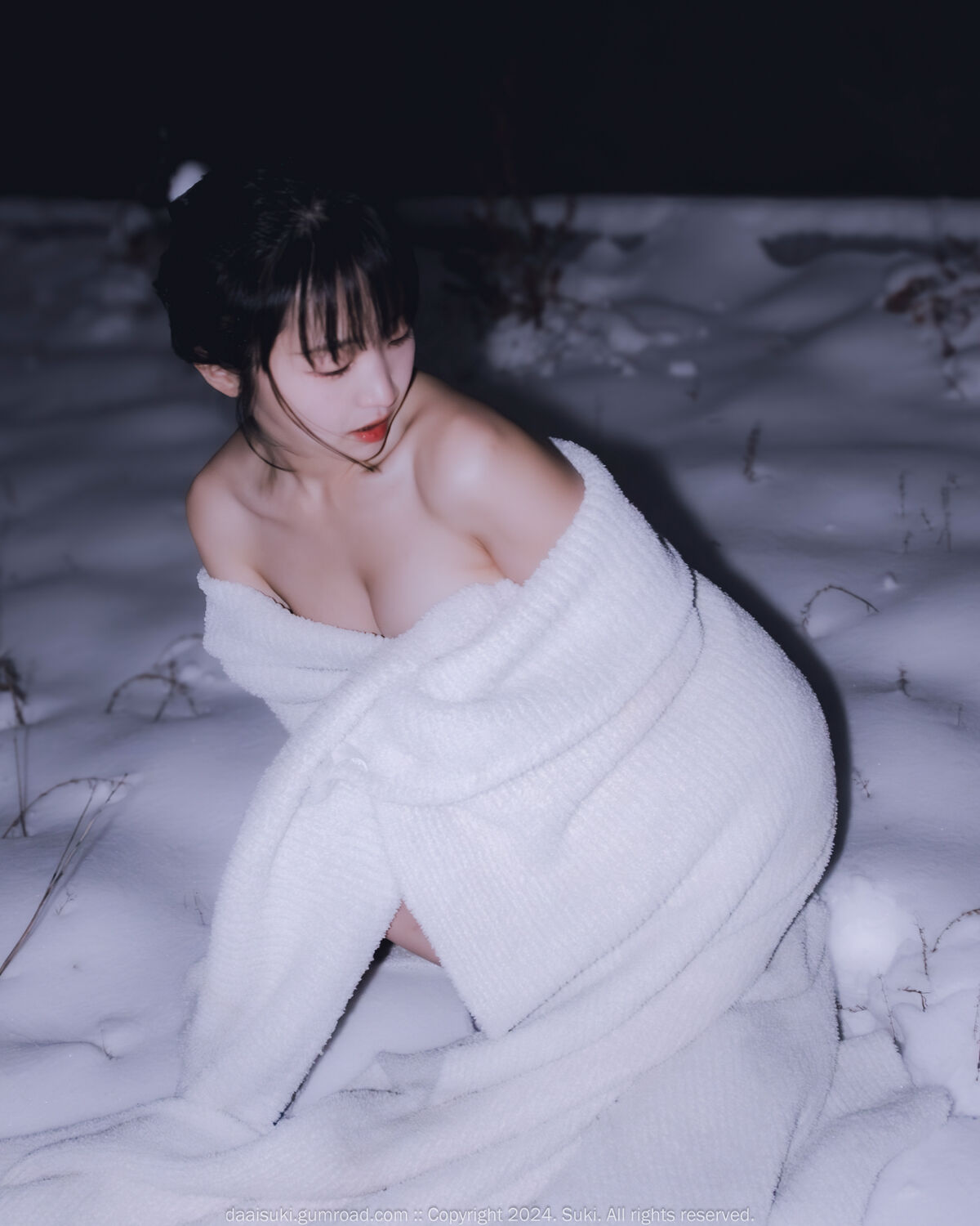 Suki 숙희 Snowy Night 0009 7155237664.jpg